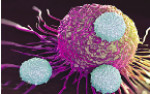 ارائه جدیدترین دستاوردهای علمی  در درمان‌های سرطان