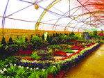 ۳۳ هزار متر مربع به وسعت گلخانه‌های محلات افزوده شد
