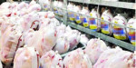 توزیع مرغ منجمد توجیهی ندارد شرکت پشتیبانی مرغ‌های مازاد را خریداری کند