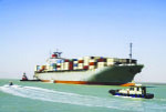 مدیرکل بنادر بوشهر: زنجیره تأمین صادرات کالا از بوشهر به قطر  تقویت می‌شود