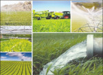 بهره‌برداری از ۳۸ طرح کشاورزی در یزد