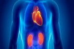 آسیب کلیوی ریسک بیماری قلبی را افزایش می دهد