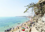 سواحل، سرشار از ثروت پنهان