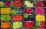 صادرات محصولات غذایی و کشاورزی افزایش یافت