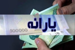 دولت در حذف یارانه ۳ دهک جدی است