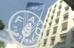 احیای حق رای ایران در فائو پس از ۱۵ سال