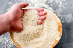 قیمت برنج ایرانی در حال کاهش است