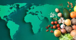 فائو:قیمت جهانی مواد غذایی بالا رفت