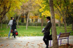 ۱۸ میلیون مجرد در کشور